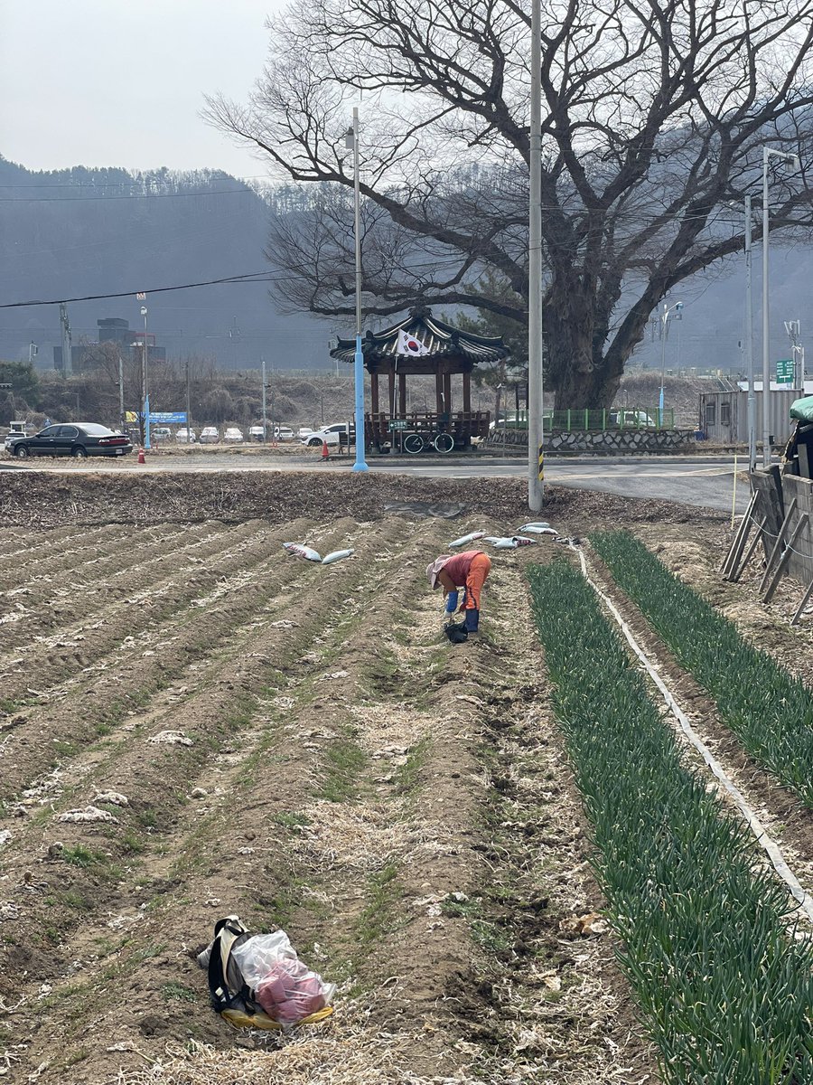 리서치뷰(Research View) tweet media