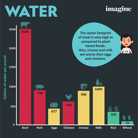 Ahmira ✨ Gaming Astrologer tweet media