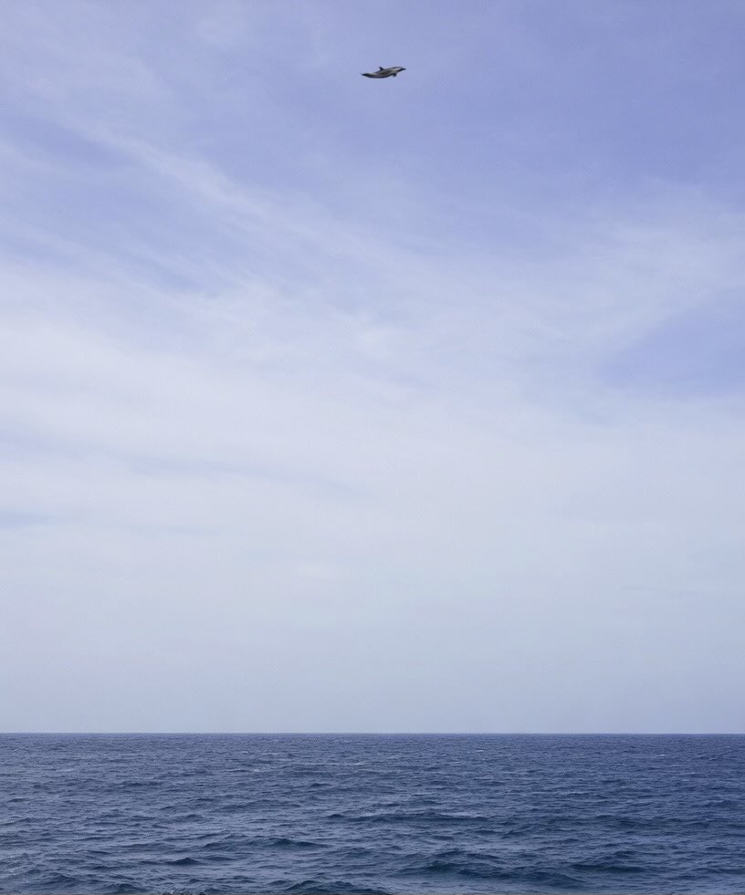 Blaze ☩ tweet media