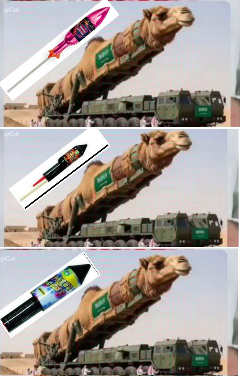 اخبار ساره tweet media