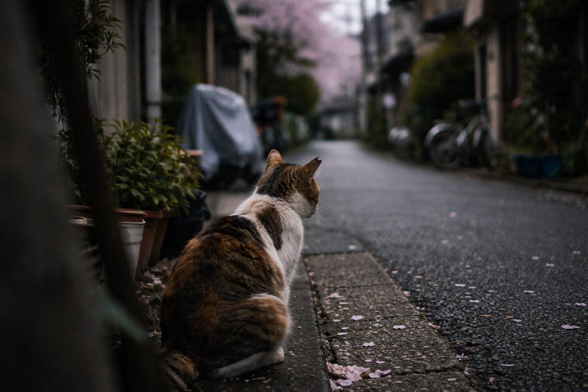 SCIENCE FACTORY ltd. tweet media