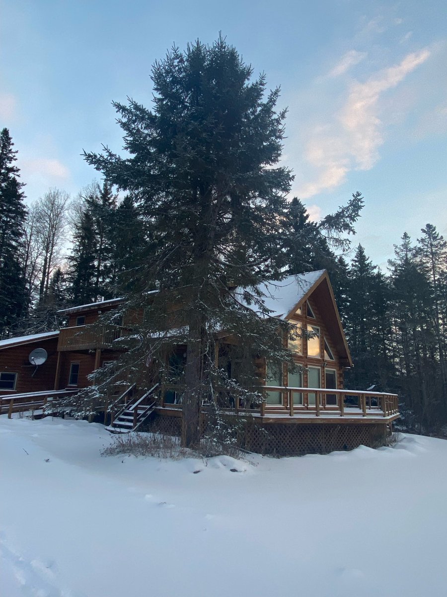 Michael DiMercurio tweet media