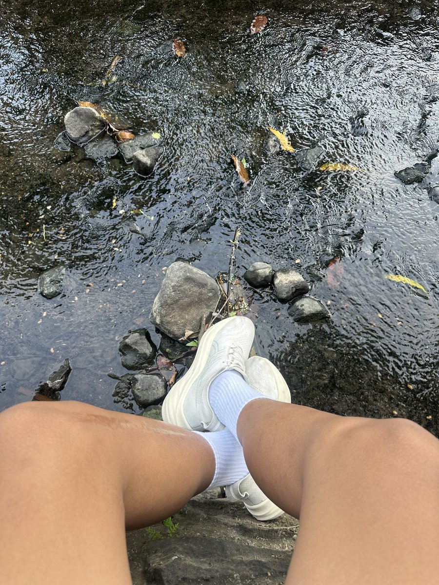 Ka Lolas tweet media