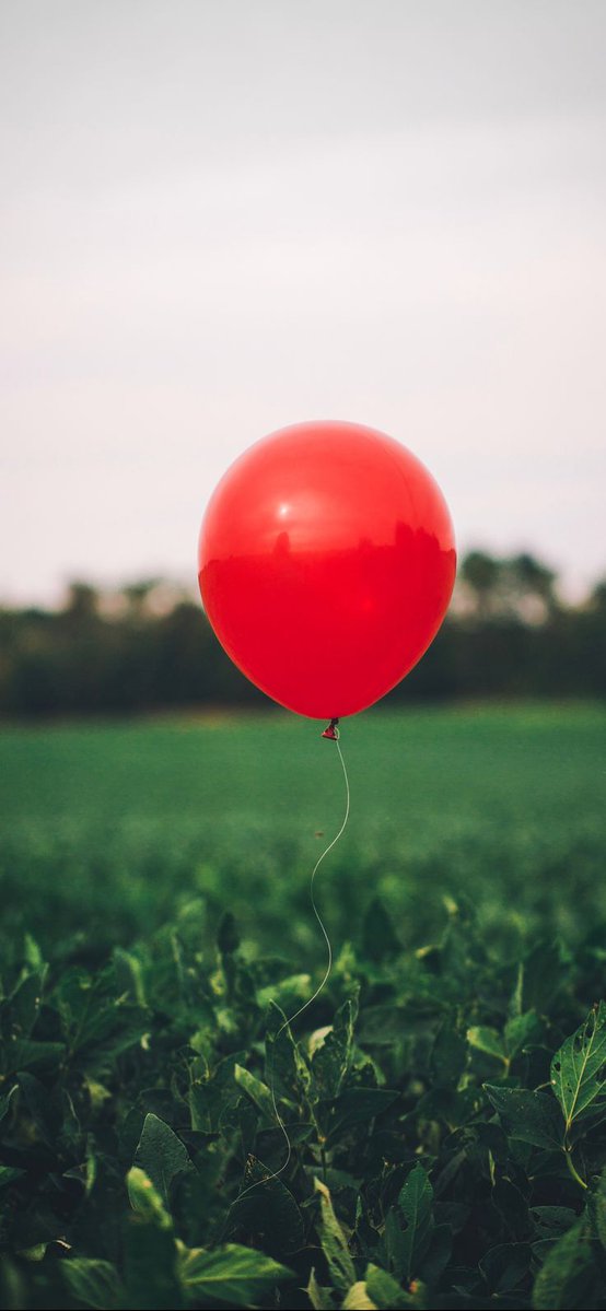 Glad tidings from a heart tweet media