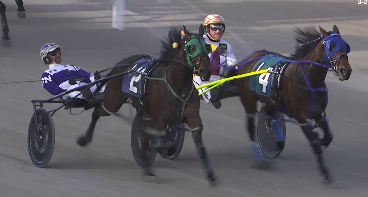 Indiana Harness tweet media