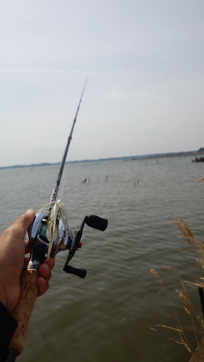 Re:Na(レイナ) tweet media