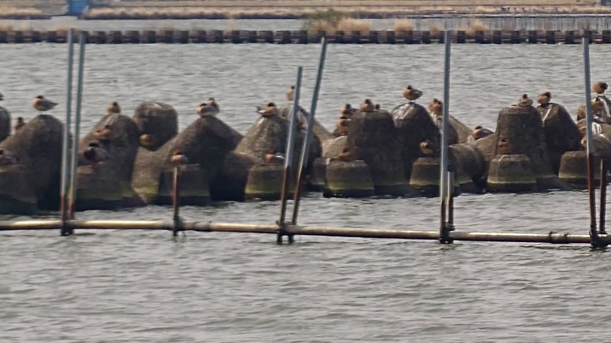 Re:Na(レイナ) tweet media