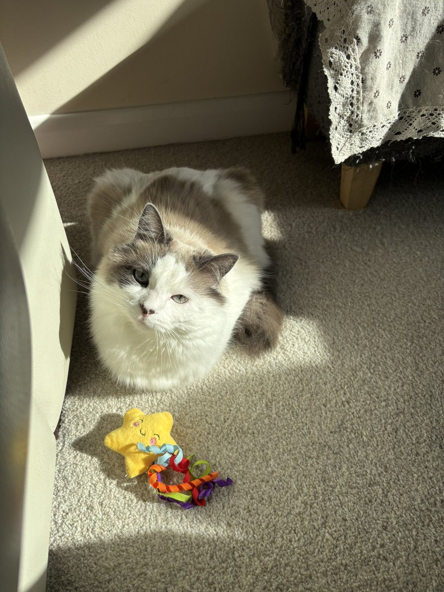 𝒸𝒾𝓃𝓃 tweet media