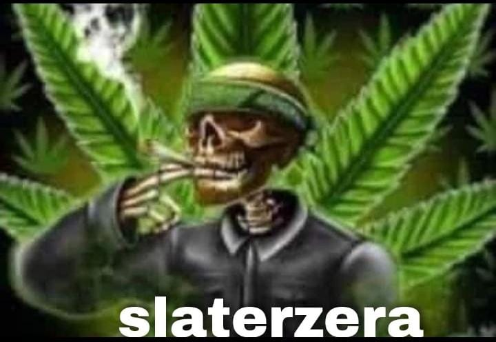 yorkz7 ★ tweet media