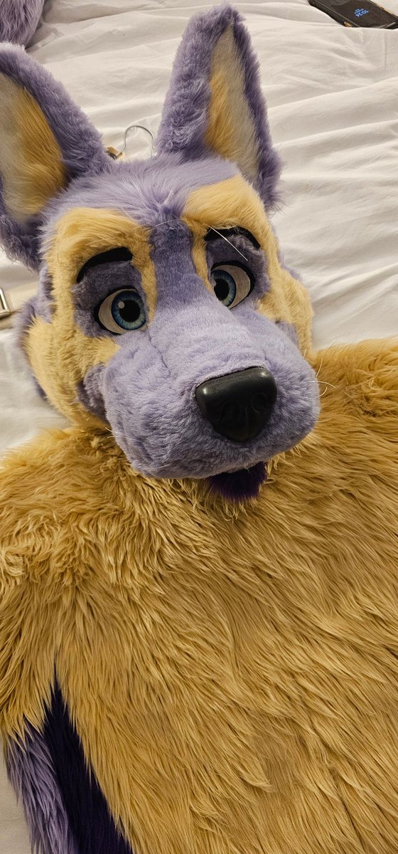 Lavshep 🔜 ??? tweet media