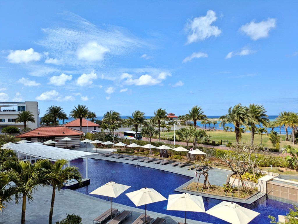 ゆうぱん🐼餌あげ禁止 tweet media