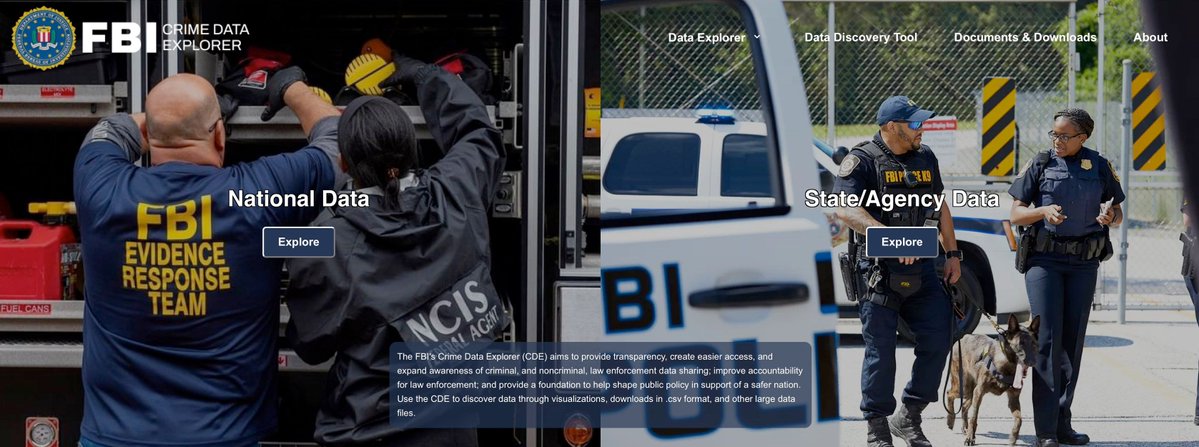 M.A. Rothman tweet media