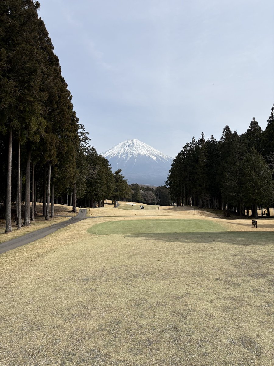 てーよー tweet media