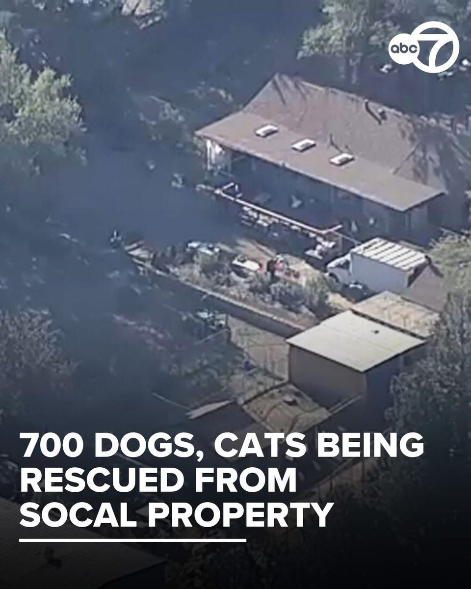 Couturière maigre tweet media