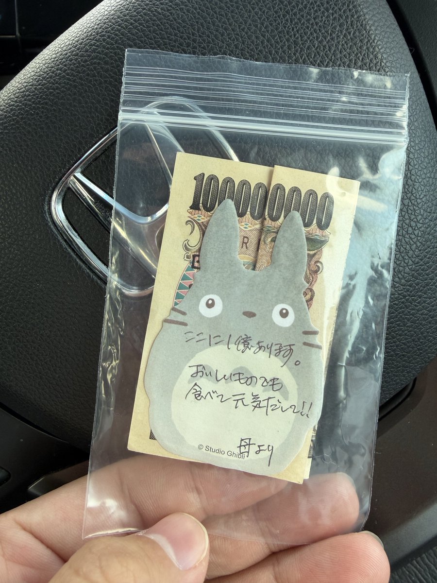 保護猫ラオと不器用男。 tweet media