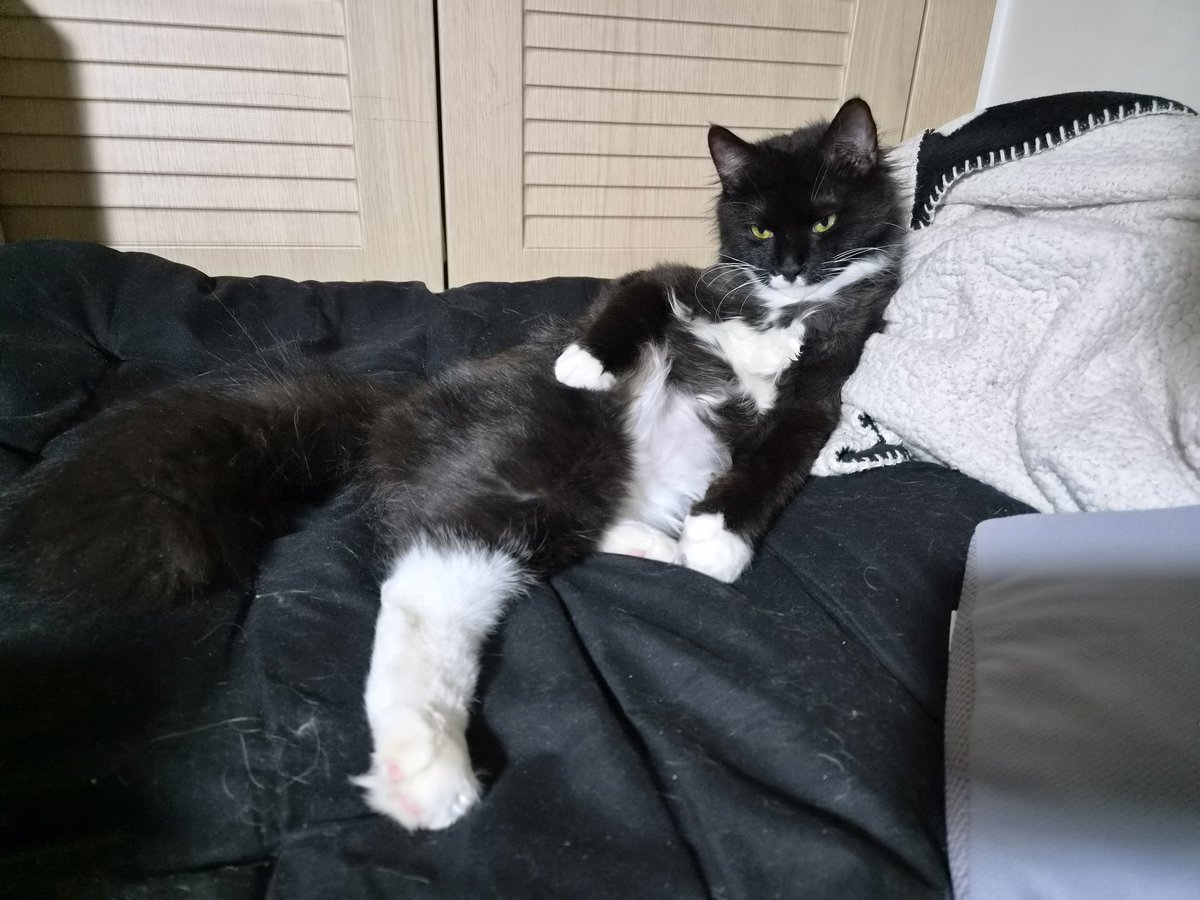 오리넉울 tweet media