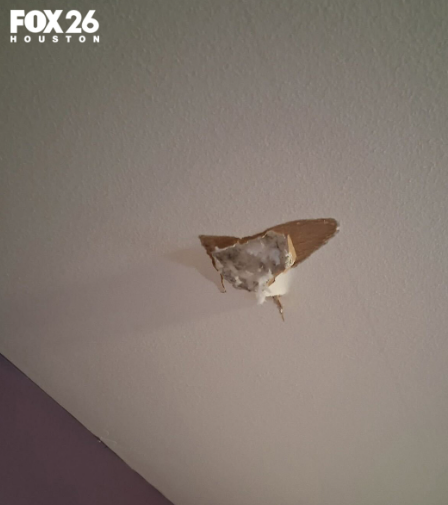 Mario Nawfal tweet media