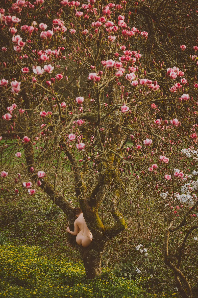 Corwin Prescott tweet media