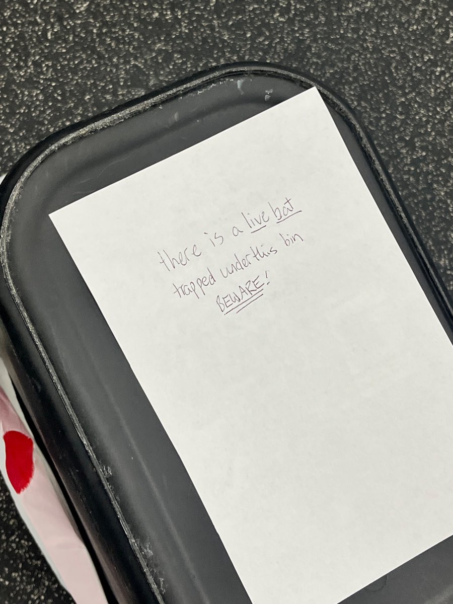 evil food eater❤️🩹 tweet media