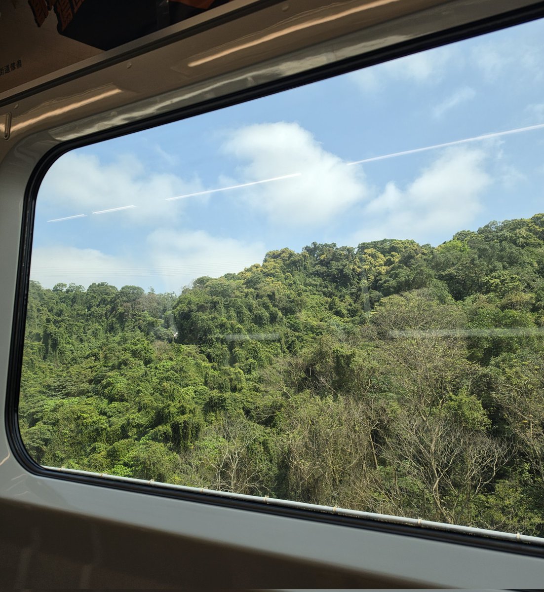 ✨️에어✨️Air tweet media