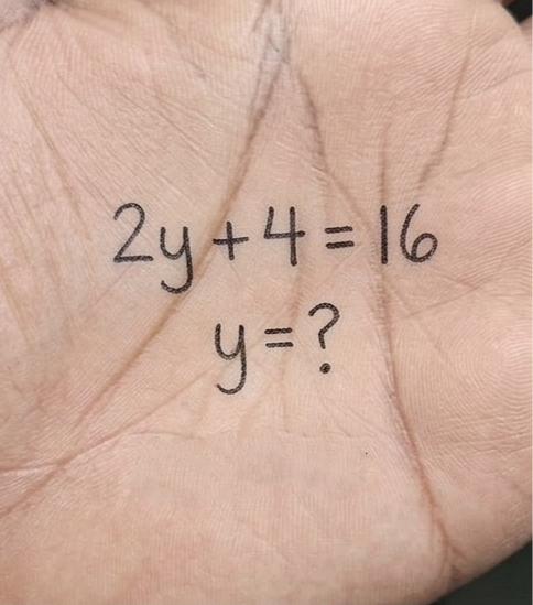 Brain IQ Test tweet media