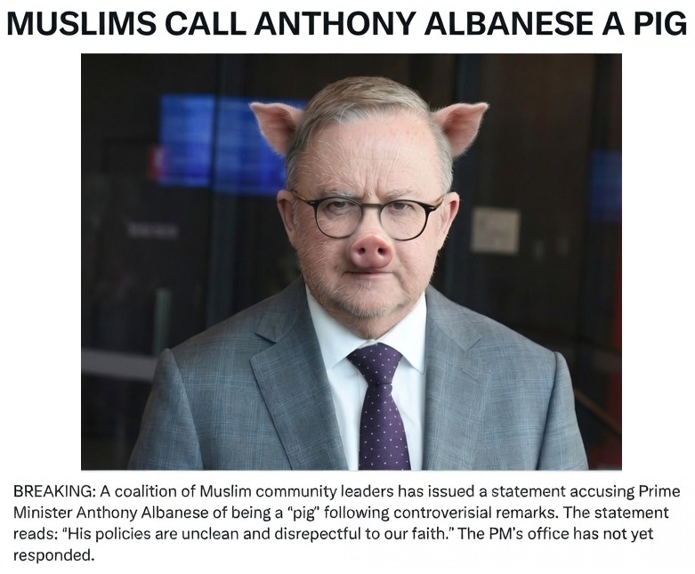 Aussie Fan Channel tweet media