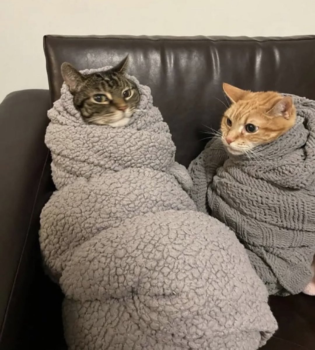 Mohammed 🌨️ tweet media