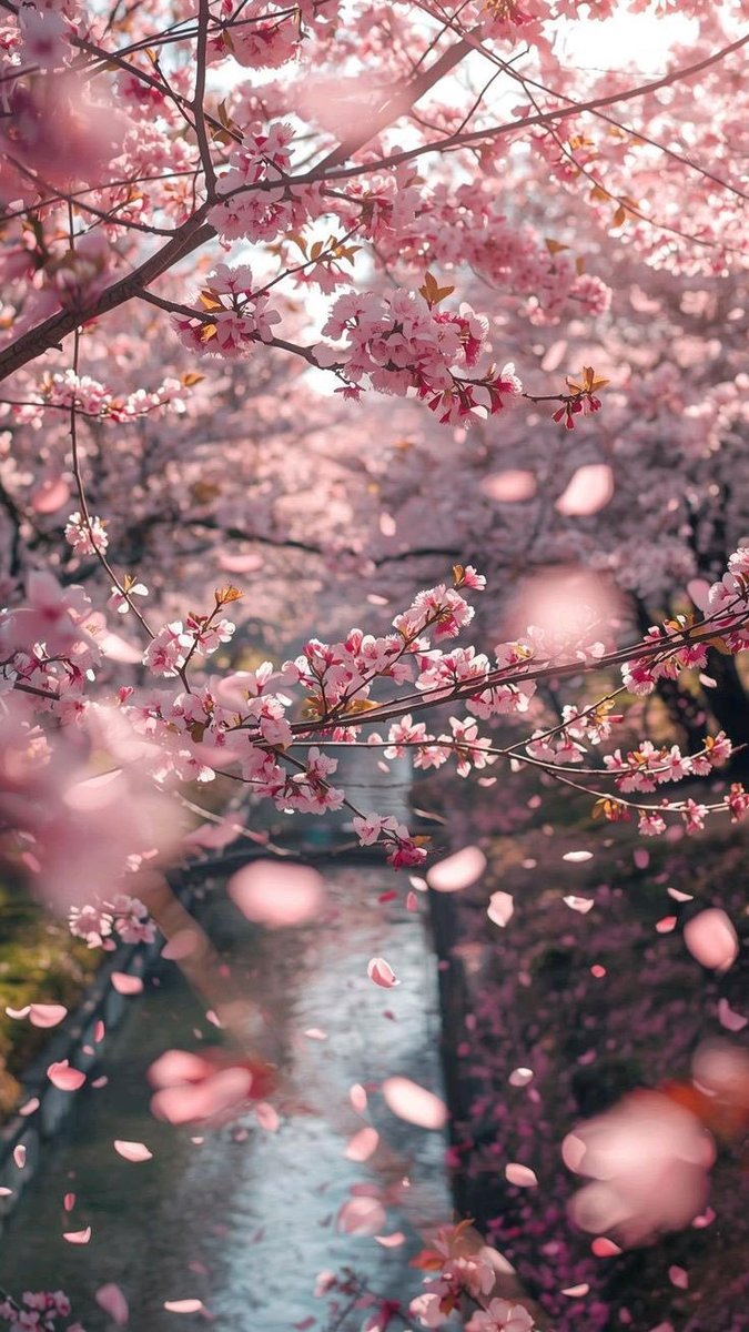 serenity tweet media