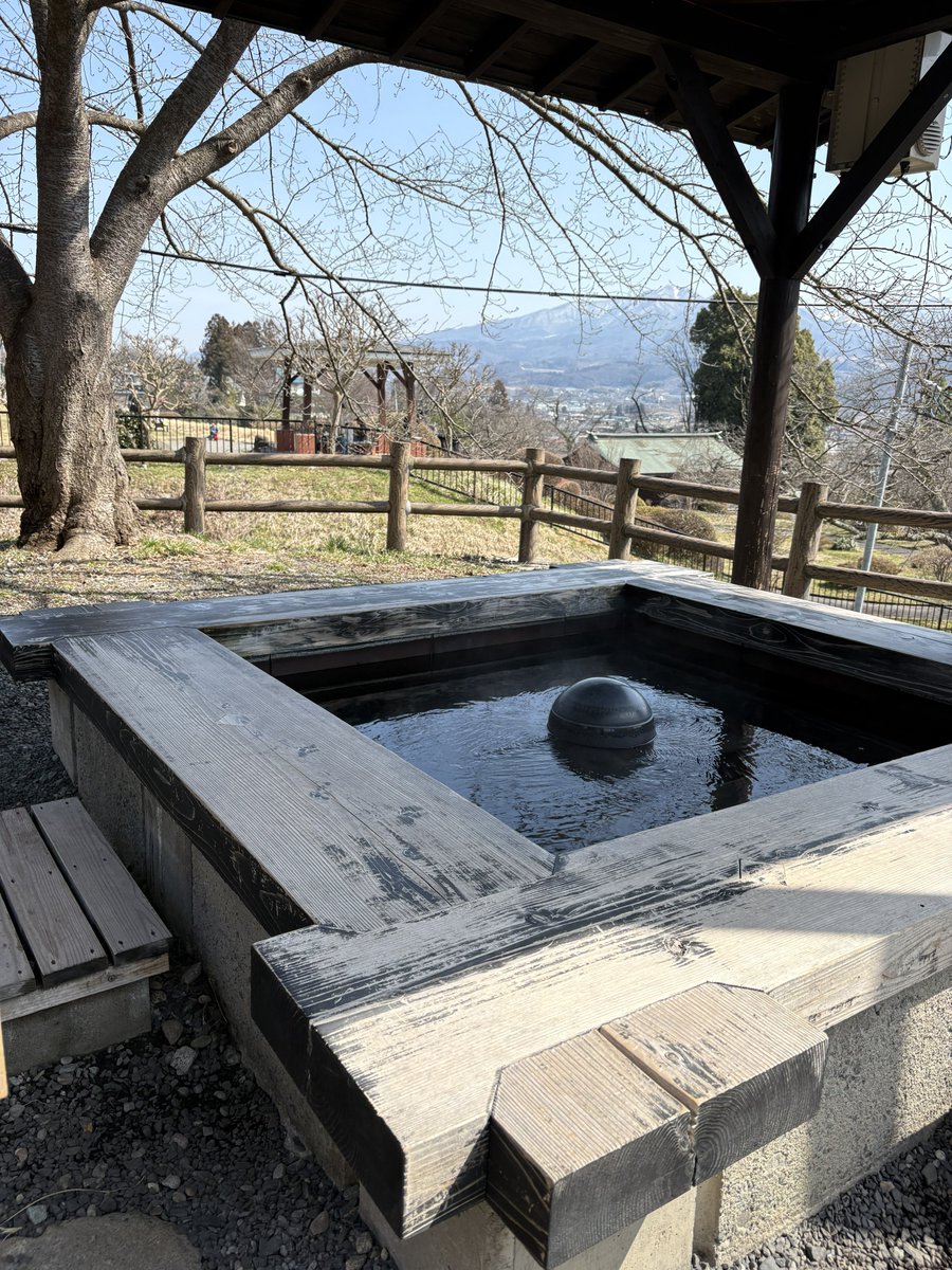 るに( '×' ).*❀ tweet media