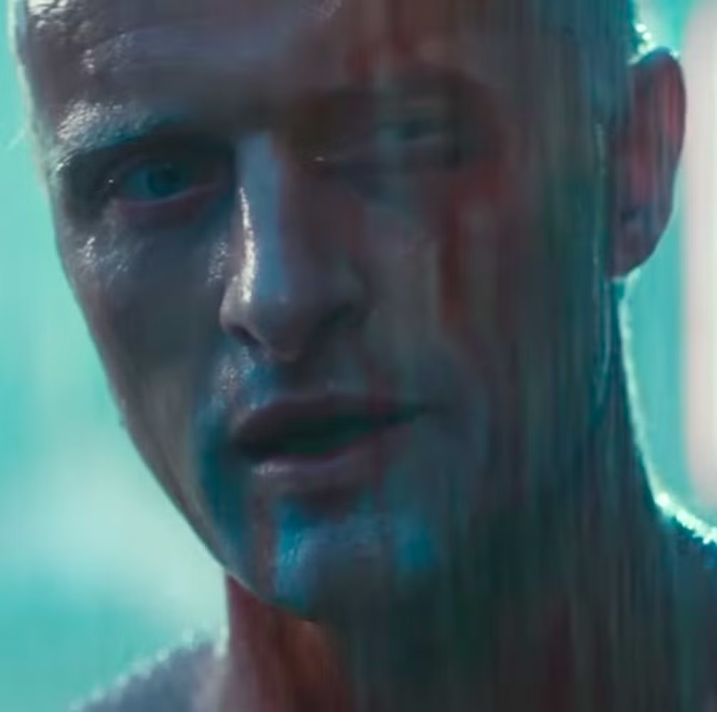 peepeepoopoo tweet media