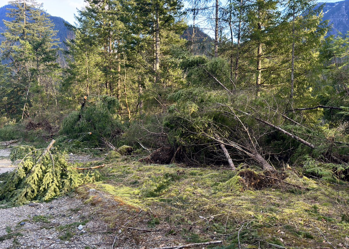 Ryan Voutilainen 🇨🇦🇫🇮 tweet media