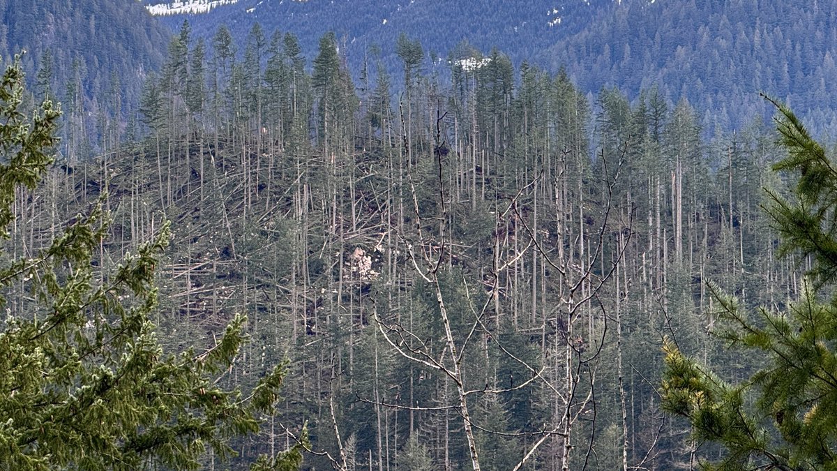 Ryan Voutilainen 🇨🇦🇫🇮 tweet media