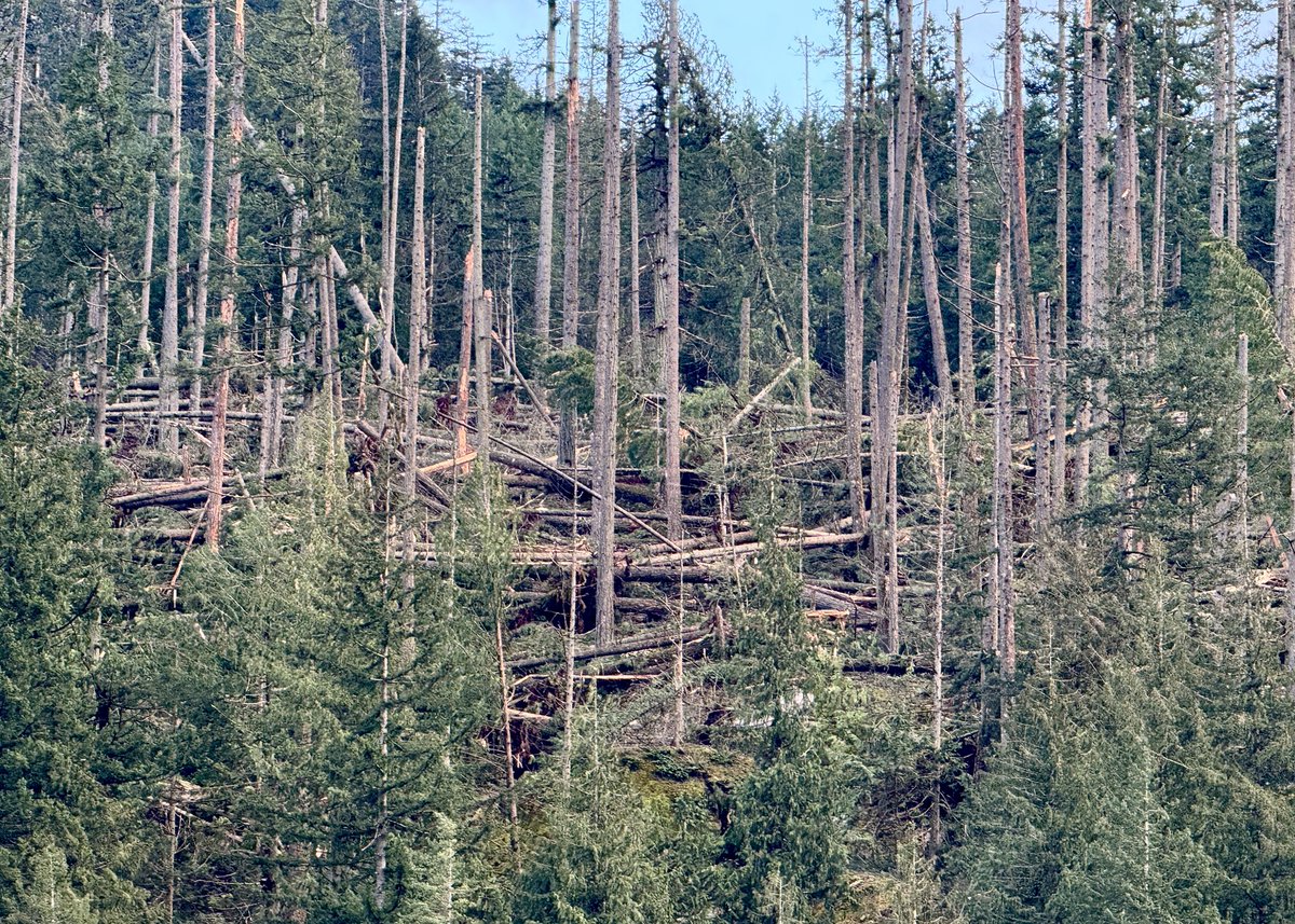 Ryan Voutilainen 🇨🇦🇫🇮 tweet media