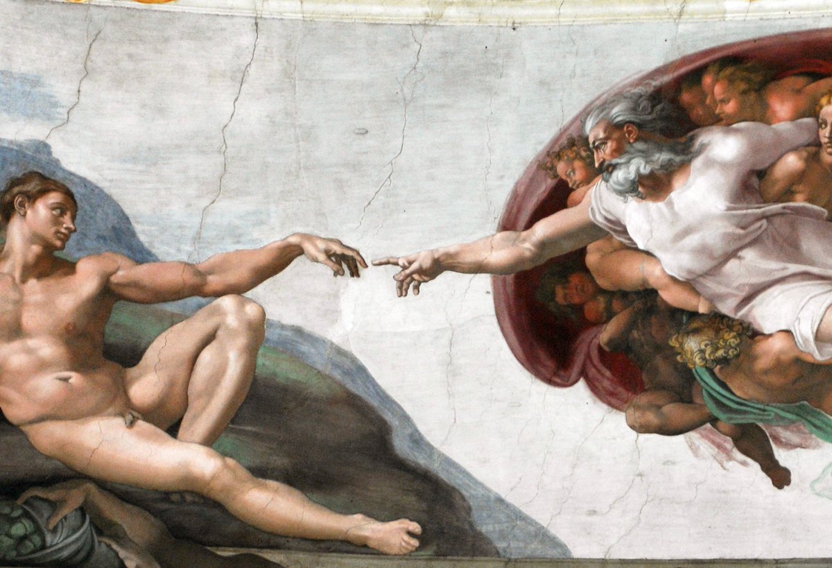 ana paula tweet media