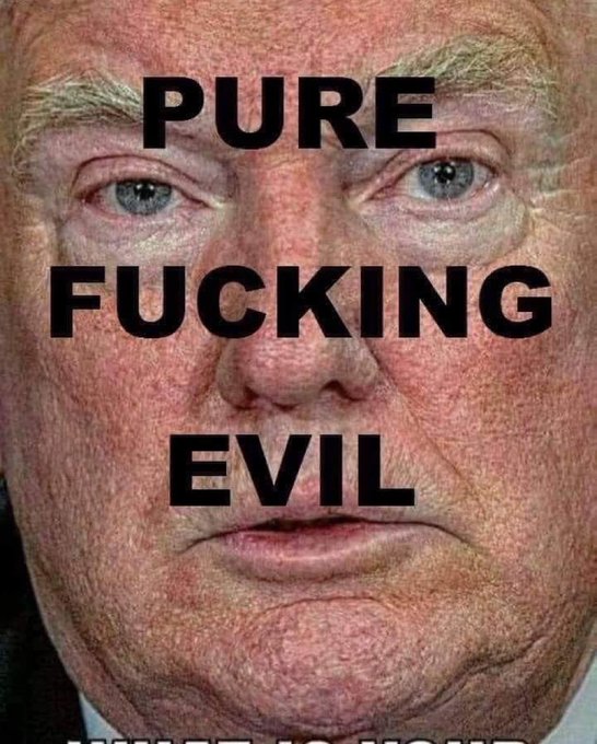 14th Amendment Section 3 NOW! tweet media