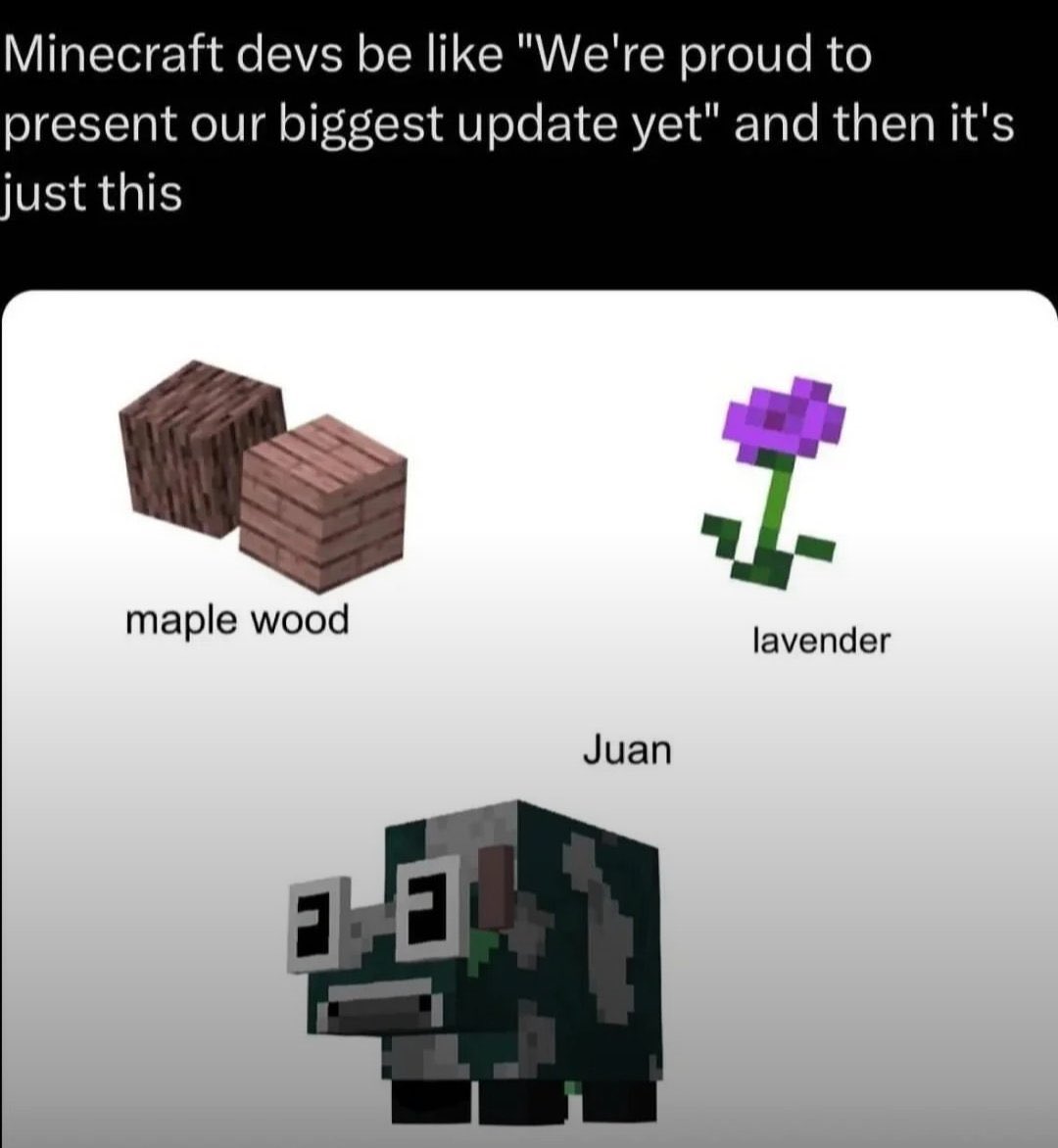 your name tweet media