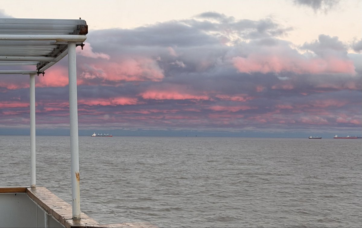 Francisco tweet media