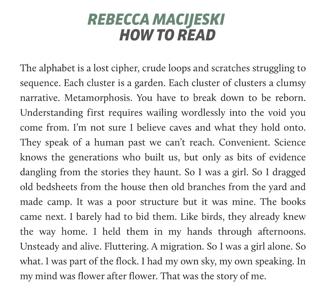 elsewhere tweet media