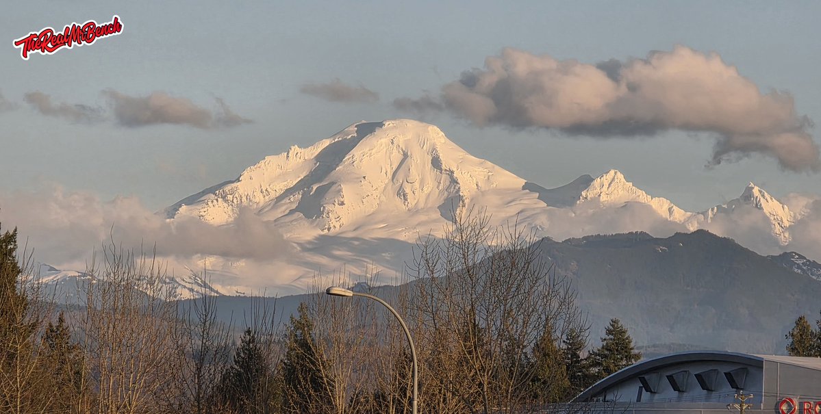 The Real Mr Bench tweet media