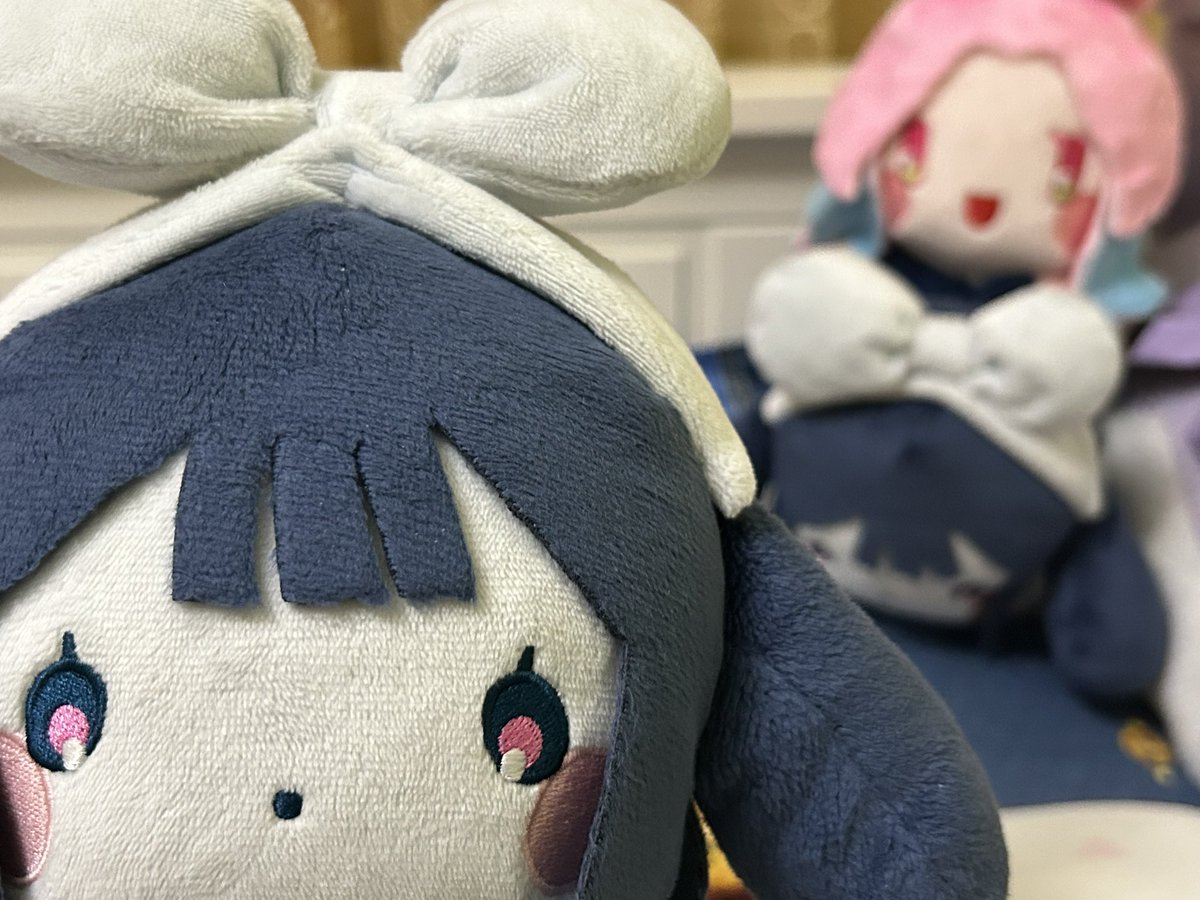 Coldmeow tweet media