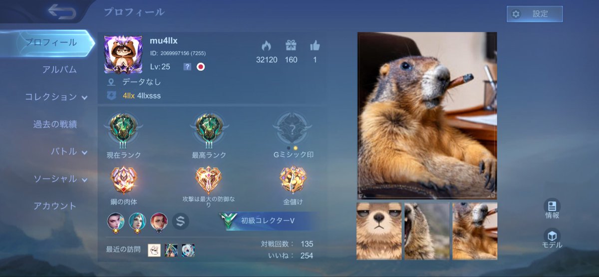 虚無顔のマーモット tweet media