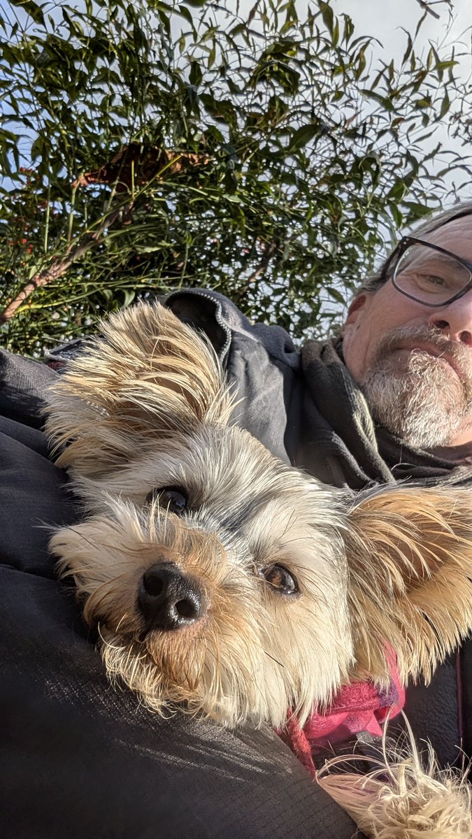 ⒼⒻ Friends call me Ⓖ tweet media