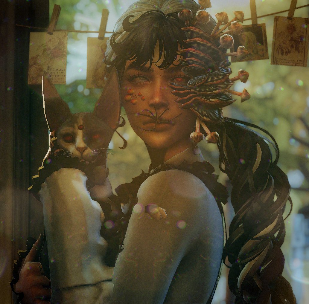 Nuggetsim tweet media