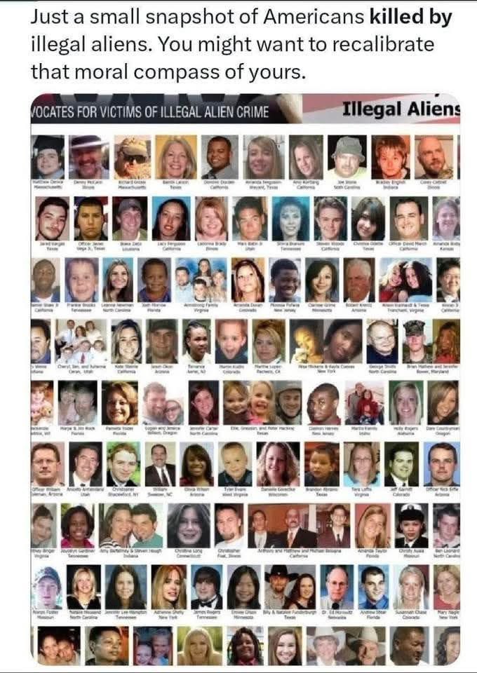 Tony Timbers tweet media