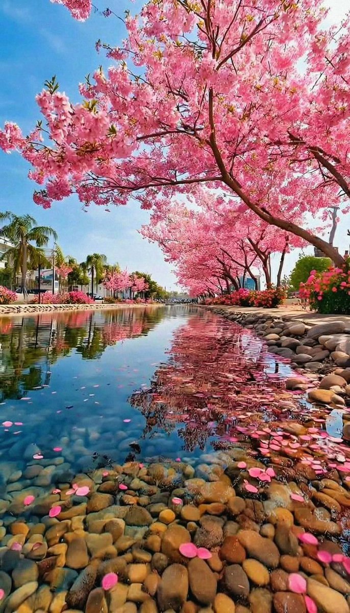 Aesthetics tweet media