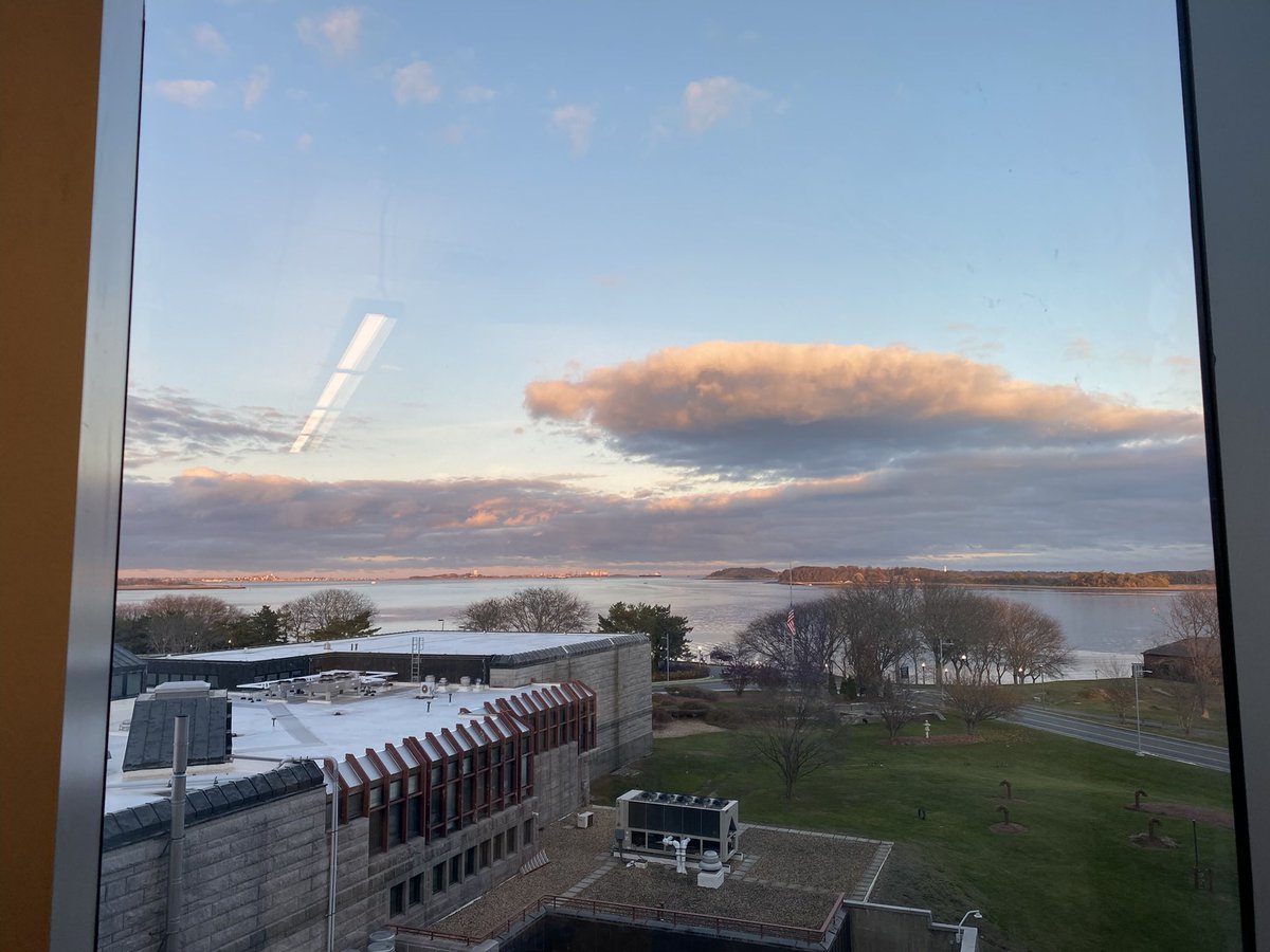 𝐑𝐲𝐬𝐨𝐫𝐚･:* tweet media