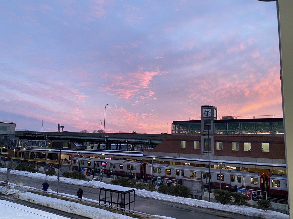 𝐑𝐲𝐬𝐨𝐫𝐚･:* tweet media