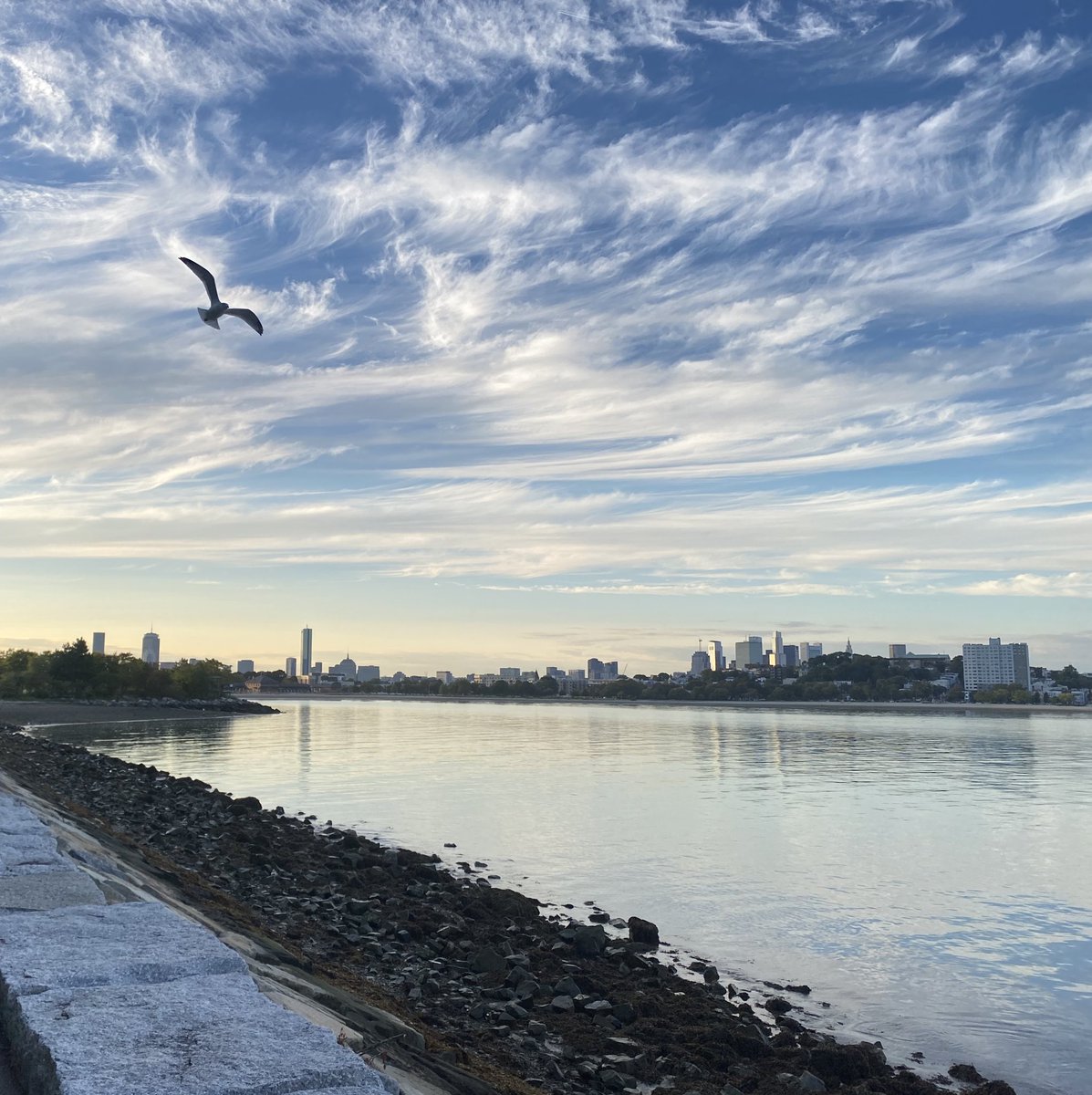 𝐑𝐲𝐬𝐨𝐫𝐚･:* tweet media