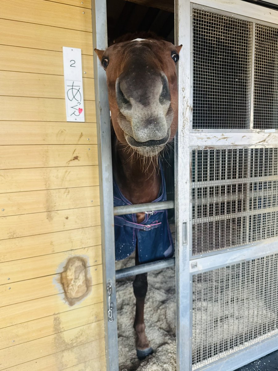 審査会 tweet media