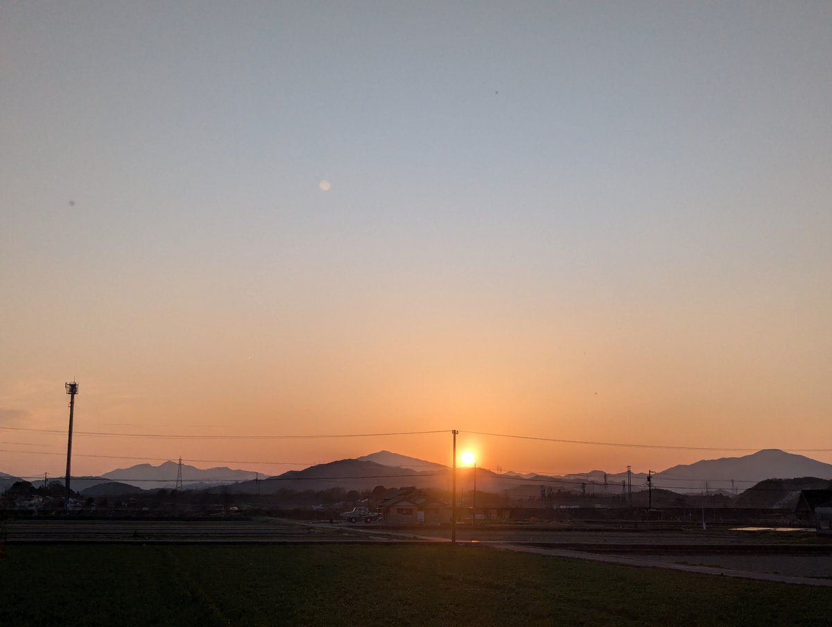 旅先での写真 tweet media